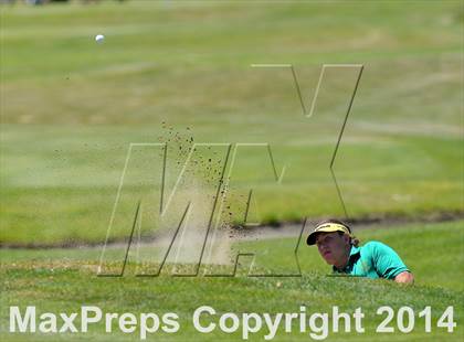 Thumbnail 2 in CIF SJS Masters Golf Championships photogallery.