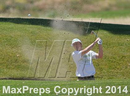 Thumbnail 1 in CIF SJS Masters Golf Championships photogallery.