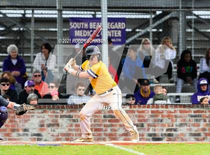 Thumbnail 3 in Rosepine @ South Beauregard (Scrimmage) photogallery.