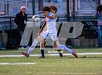 Photo from the gallery "MHSAA D-1 Final:  Huron vs. Portage Central"
