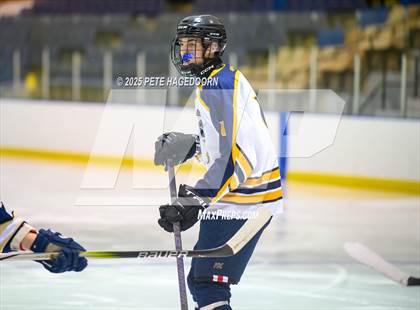Thumbnail 3 in Vernon @ Roxbury photogallery.