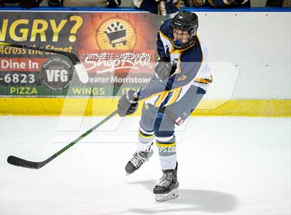Thumbnail 3 in Vernon @ Roxbury photogallery.