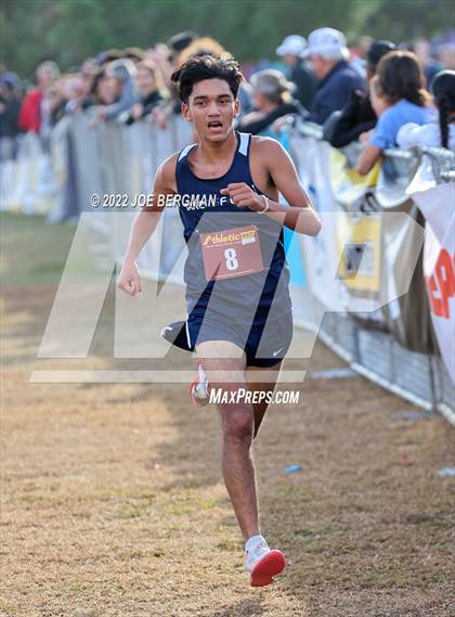 Thumbnail 1 in CIF Central Section Cross Country Championships (Boys D1 Race) photogallery.