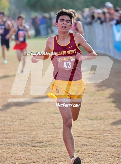 Thumbnail 1 in CIF Central Section Cross Country Championships (Boys D1 Race) photogallery.
