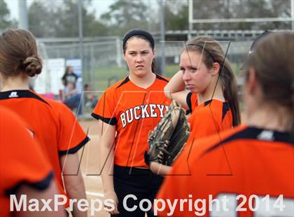 Thumbnail 1 in Gilmer @ Spring Hill photogallery.