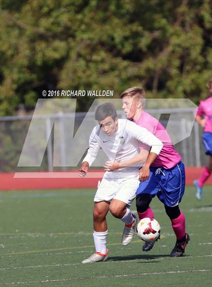 Thumbnail 1 in Middletown @ Caravel photogallery.