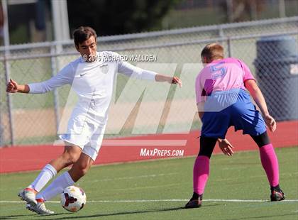 Thumbnail 2 in Middletown @ Caravel photogallery.