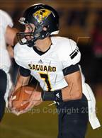 Photo from the gallery "Saguaro @ Desert Vista"