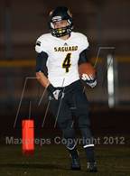 Photo from the gallery "Saguaro @ Desert Vista"