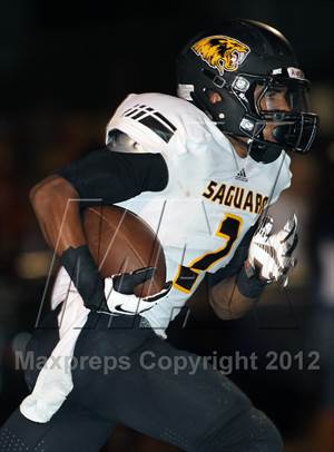 Saguaro @ Desert Vista