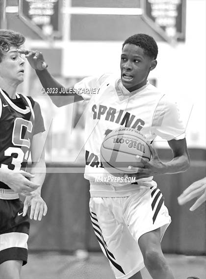 Thumbnail 3 in Centennial @ Spring Valley photogallery.