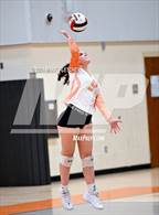 Photo from the gallery "Taylor @ University"