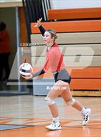 Photo from the gallery "Taylor @ University"