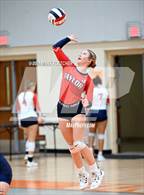 Photo from the gallery "Taylor @ University"