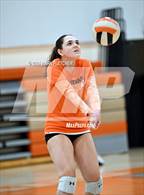 Photo from the gallery "Taylor @ University"