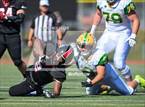 Photo from the gallery "Lynden @ Franklin Pierce"