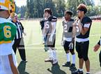 Photo from the gallery "Lynden @ Franklin Pierce"