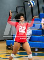 Photo from the gallery "American @ Newark Memorial"