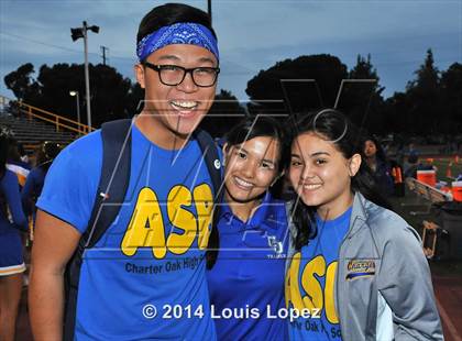 Thumbnail 1 in Los Altos @ Charter Oak (Homecoming) photogallery.