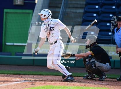 Thumbnail 2 in Jonathan Law vs. Xavier (Dunkin Donuts Park) photogallery.