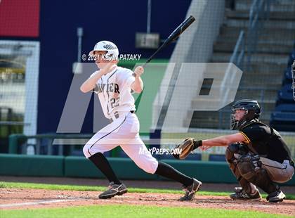 Thumbnail 2 in Jonathan Law vs. Xavier (Dunkin Donuts Park) photogallery.