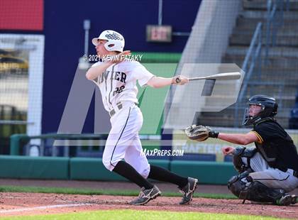 Thumbnail 1 in Jonathan Law vs. Xavier (Dunkin Donuts Park) photogallery.