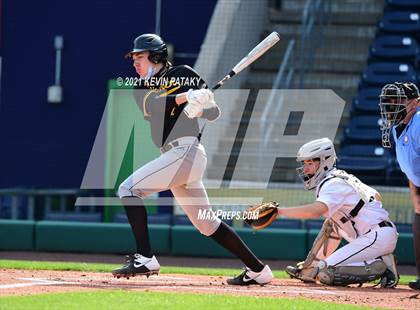 Thumbnail 3 in Jonathan Law vs. Xavier (Dunkin Donuts Park) photogallery.