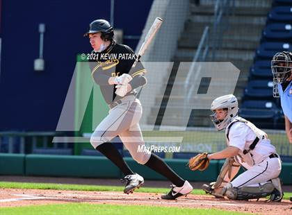 Thumbnail 1 in Jonathan Law vs. Xavier (Dunkin Donuts Park) photogallery.