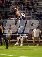 Photo from the gallery "Pine Forest @ Terry Sanford"
