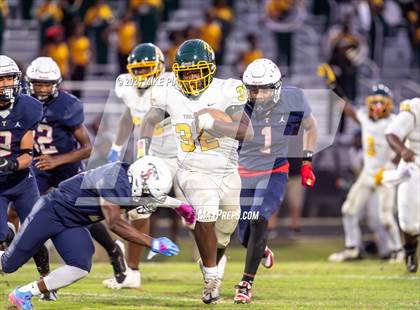 Thumbnail 3 in Pine Forest @ Terry Sanford photogallery.
