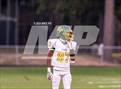 Photo from the gallery "Pine Forest @ Terry Sanford"