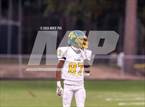 Photo from the gallery "Pine Forest @ Terry Sanford"