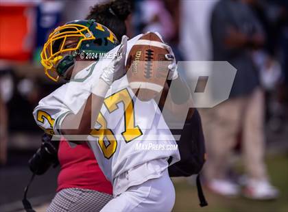 Thumbnail 1 in Pine Forest @ Terry Sanford photogallery.