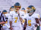 Photo from the gallery "Pine Forest @ Terry Sanford"