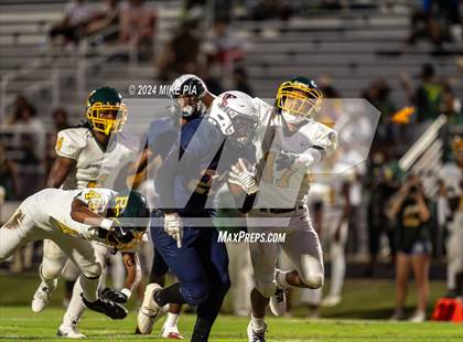 Thumbnail 3 in Pine Forest @ Terry Sanford photogallery.