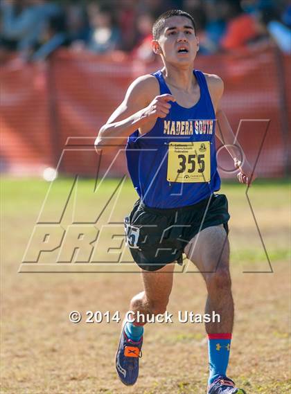 Thumbnail 3 in CIF State Cross Country Championships (D1 Boys Race) photogallery.