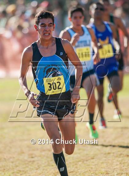 Thumbnail 1 in CIF State Cross Country Championships (D1 Boys Race) photogallery.