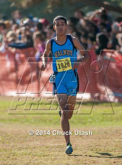 Thumbnail 1 in CIF State Cross Country Championships (D1 Boys Race) photogallery.
