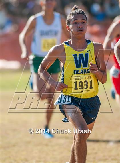 Thumbnail 2 in CIF State Cross Country Championships (D1 Boys Race) photogallery.