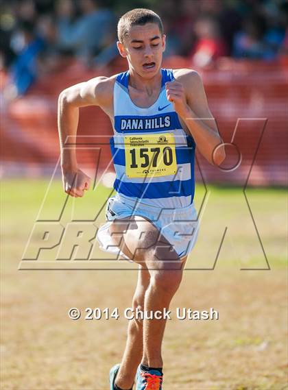 Thumbnail 2 in CIF State Cross Country Championships (D1 Boys Race) photogallery.