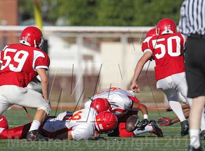 Thumbnail 1 in Paraclete @ Burroughs photogallery.