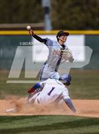 Photo from the gallery "Douglas @ Reno"