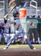 Photo from the gallery "Douglas @ Reno"