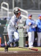 Photo from the gallery "Douglas @ Reno"