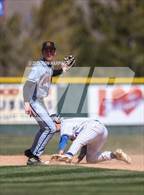 Photo from the gallery "Douglas @ Reno"
