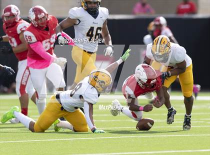 Thumbnail 1 in Cypress Ranch @ Cypress Lakes photogallery.