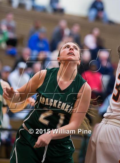 Thumbnail 2 in Spackenkill vs. Marlboro Central (Section 9 Class B Final) photogallery.