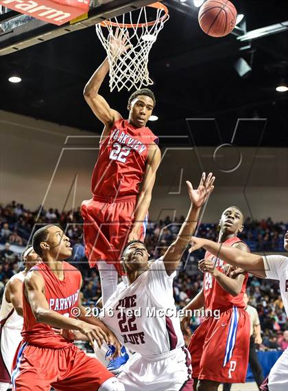 Thumbnail 1 in Parkview vs. Pine Bluff (AAA 6A Final) photogallery.