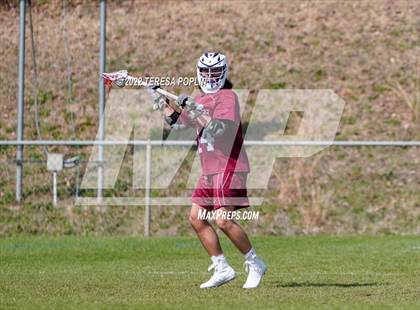 Thumbnail 1 in White Knoll @ Mauldin photogallery.