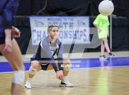 Thumbnail 1 in Palmer Ridge vs. Cheyenne Mountain (CHSAA 4A 2nd Round) photogallery.
